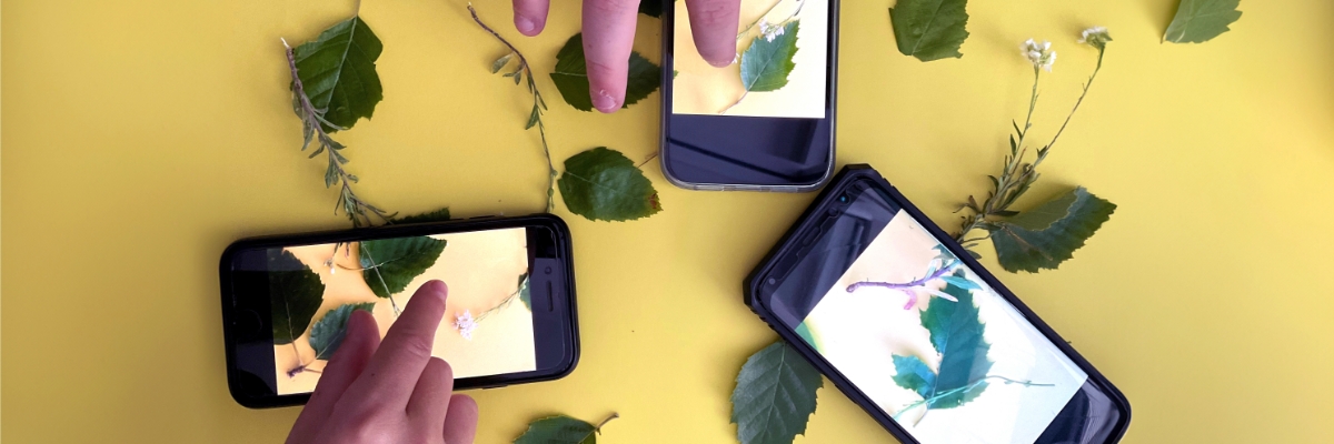 Nach dem Vorbild eines modernen Künstlers wird